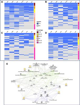 Representing ECM composition and EMT pathways in gastric cancer using a new metastatic gene signature